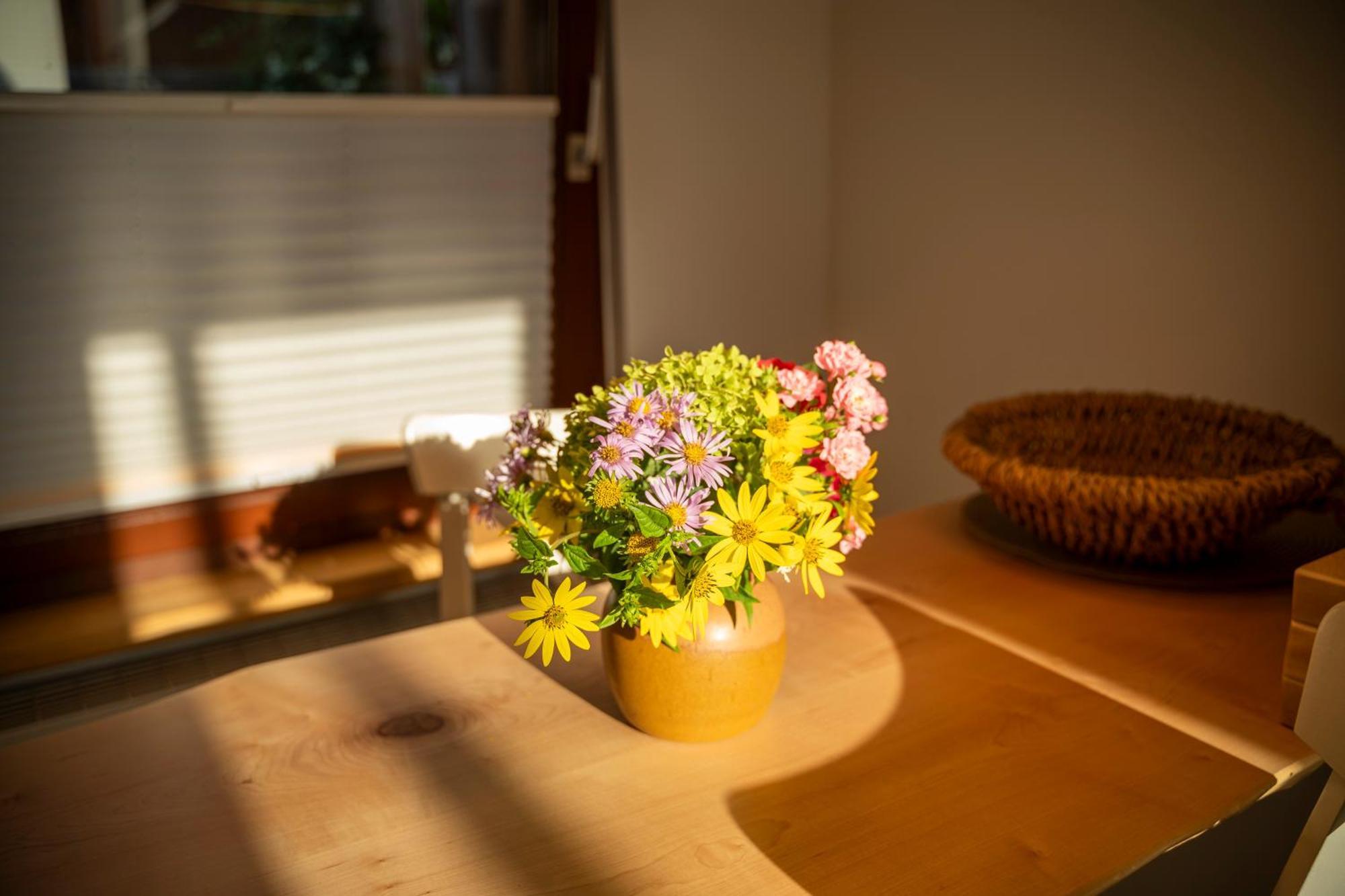 Haus Unterm Mammutbaum - Elberadweg Apartment มัคเดอบวร์ก ภายนอก รูปภาพ